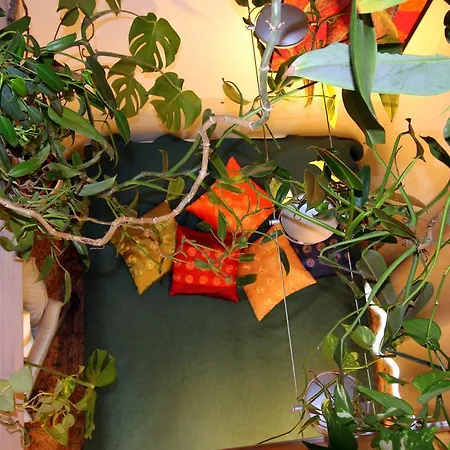 A Am Burgberg Lägenhet