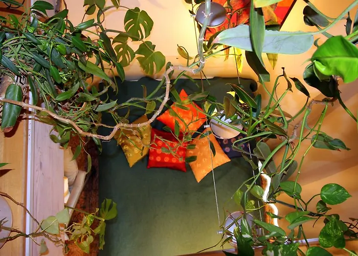 A Am Burgberg Apartament
